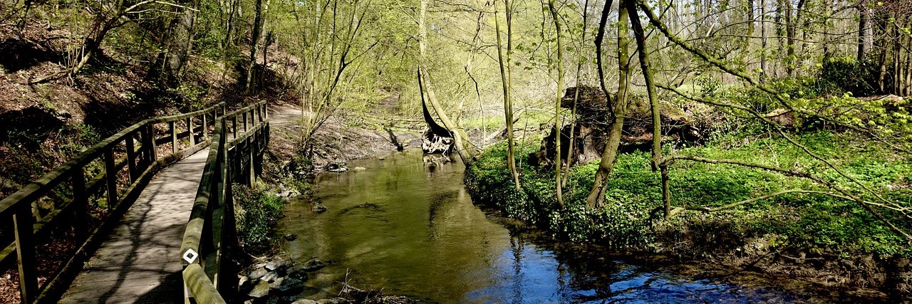 Wandersteg entlang der Düssel